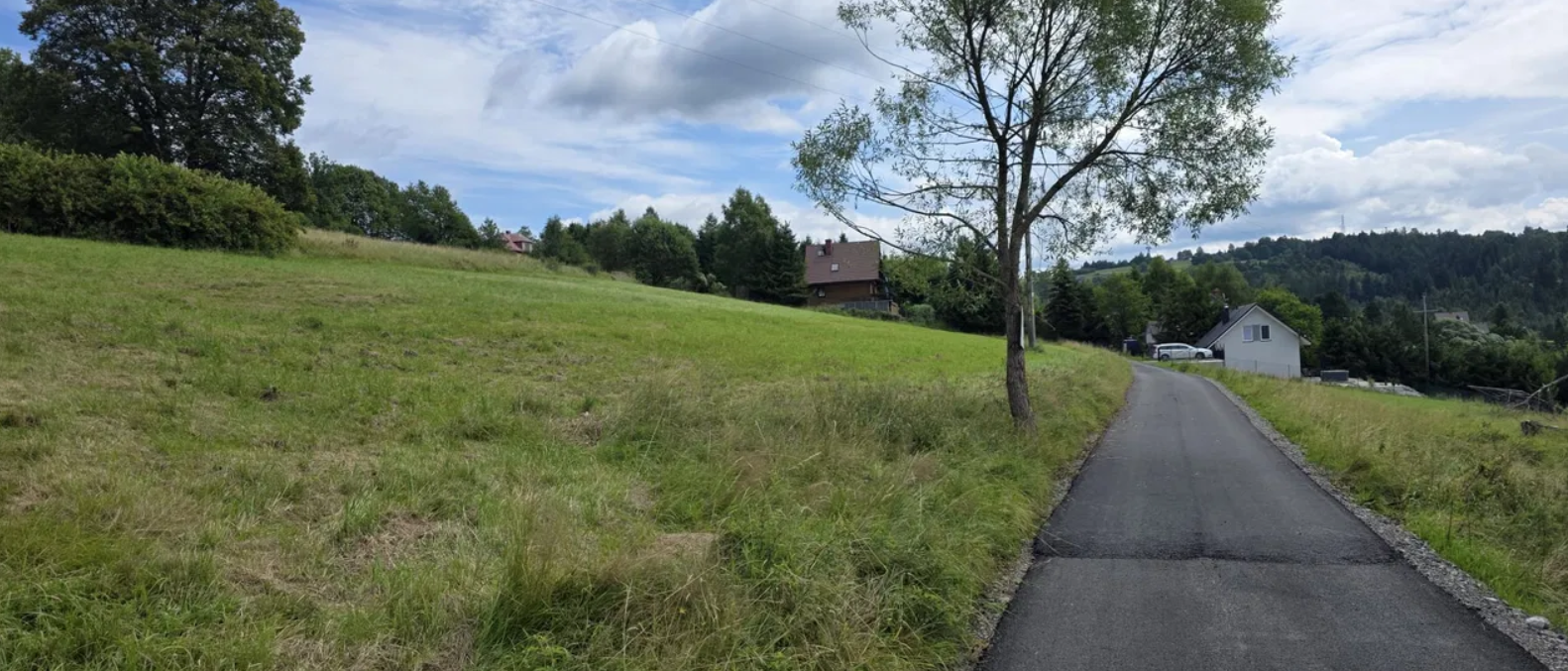 Widok na góry