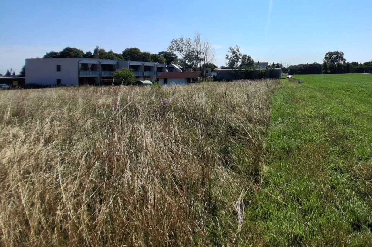 Działka rolna Mikołów - widok pola