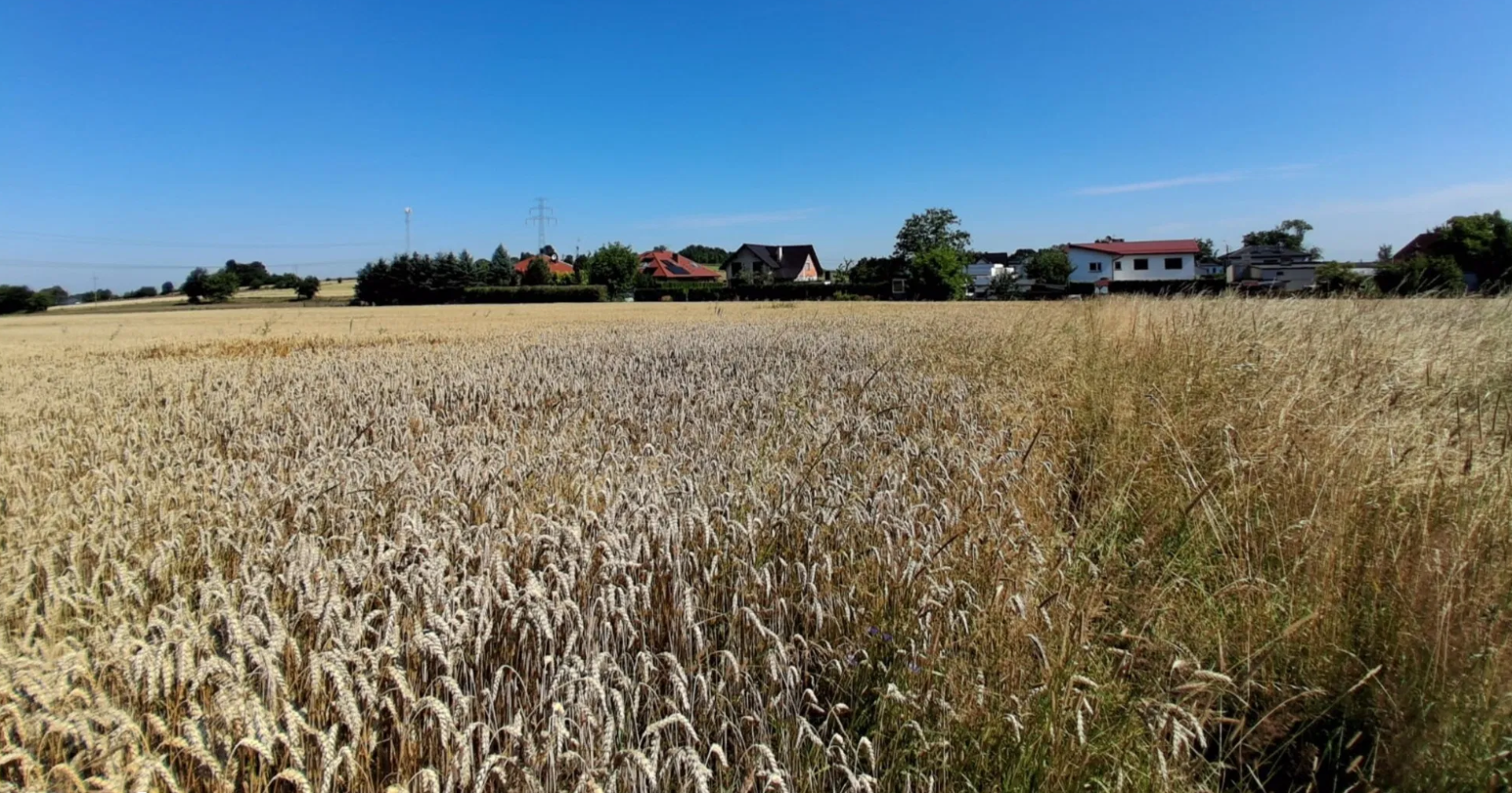 Działka rolna Mikołów - panorama