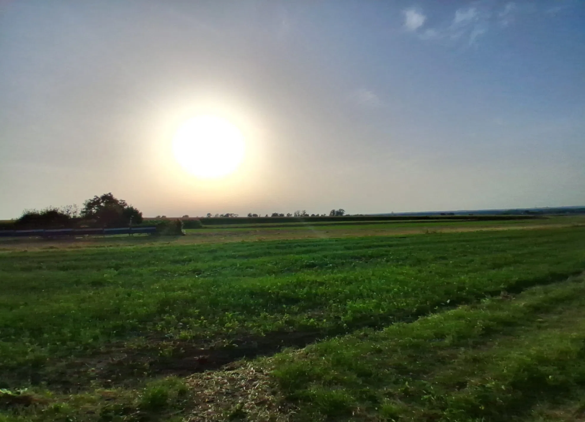 Działka budowlana Mikołów Bujaków - widok 5